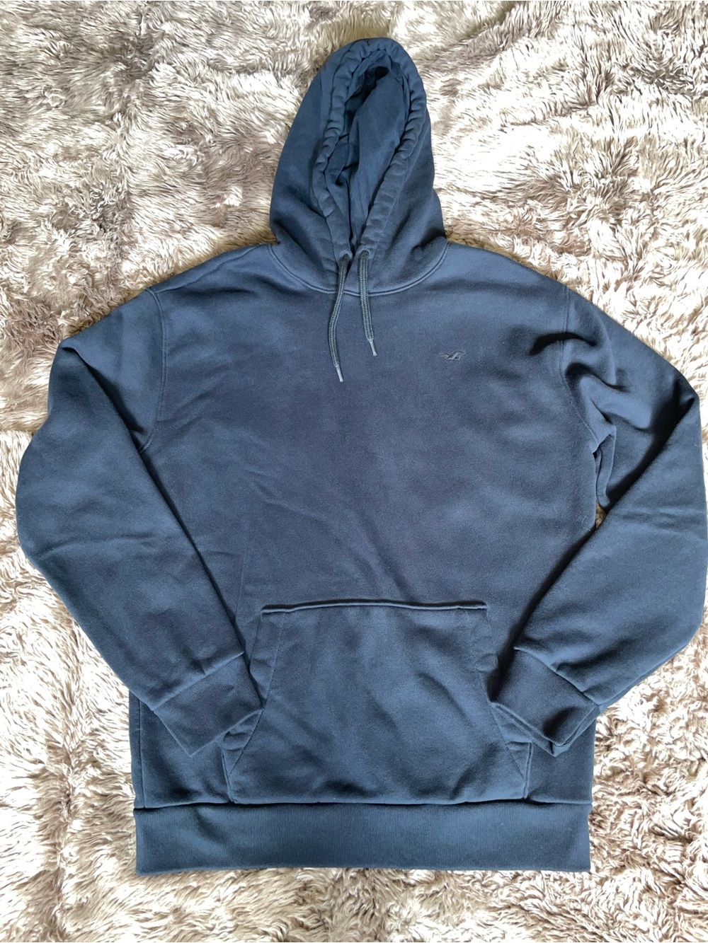 Men’s Hollister Hoodie